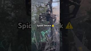 Spider Attack! 🕷️ #harrypotter #wizardingworld #universalstudios #fanfest
