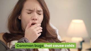 COPD Triggers and How to Avoid Them | Chronic obstructive pulmonary disease