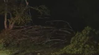 Damage in Duluth after storms blow through | FOX 5 News