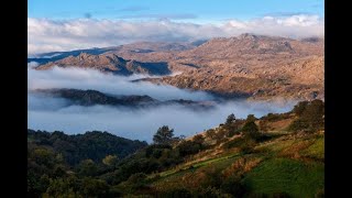 Vem aí uma rota para percorrer a pé todo o Peneda-Gerês, Cão atingido com ... Notícias Portugal