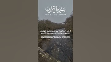 سوره آل عمران آیه 113 114 [تلاوت قرآن] #تلاوت #قرآن #قرآن #ترجمه #سوره