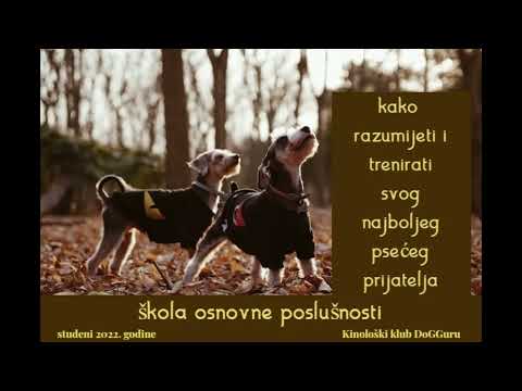 Video: Komuniciranje s psima