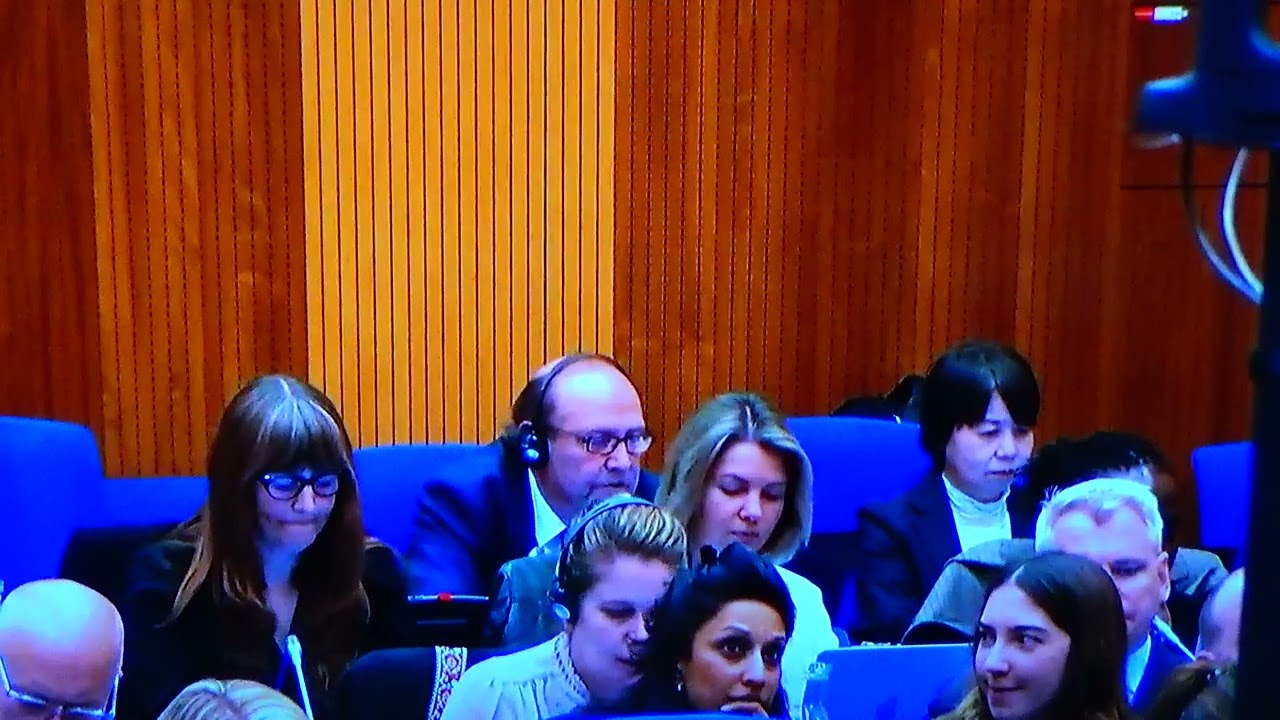 Werner Grandl statement on A U.N. Flag on the Moon at COPUOS Legal SubCommittee 64th, 8 May 2025