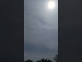 new ufo files drop! aliens on earth! #ufo #uap #aliens #alien #jesuschrist #jesus #God #uaphearings
