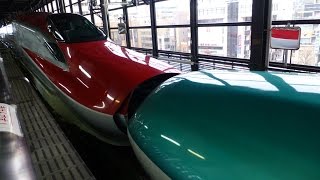 東北新幹線 E5, E6系, 盛岡の Japan Bullet Trains: Shinkansen Kiss at Morioka