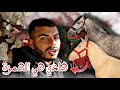 حصان بربري بأواق التعريف و مهر Albinos و حصان أبيض للبيع وبثمن مناسب خاص بجمهور العزيز 0641740376 حصان بربري بأواق التعريف و مهر Albinos و حصان أبيض للبيع وبثمن مناسب خاص بجمهور العزيز 0641740376