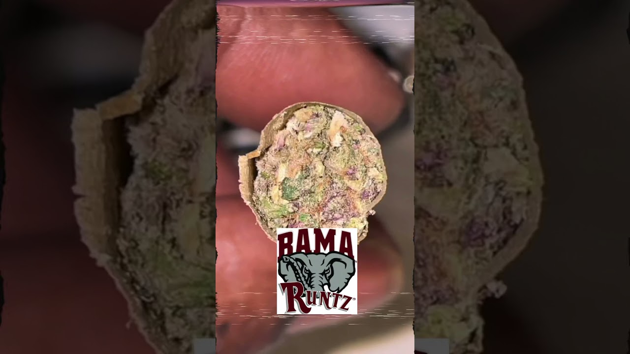 Bama Runtz Kush Kings promo video