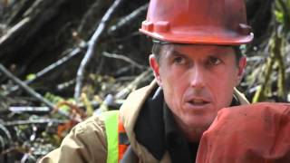 Emergency Response Planning in Forestry