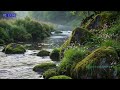 Peaceful Meditation Music for Deep Mindfulness and Emotional Balance