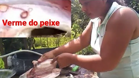 Porque os peixes estão com vermes?