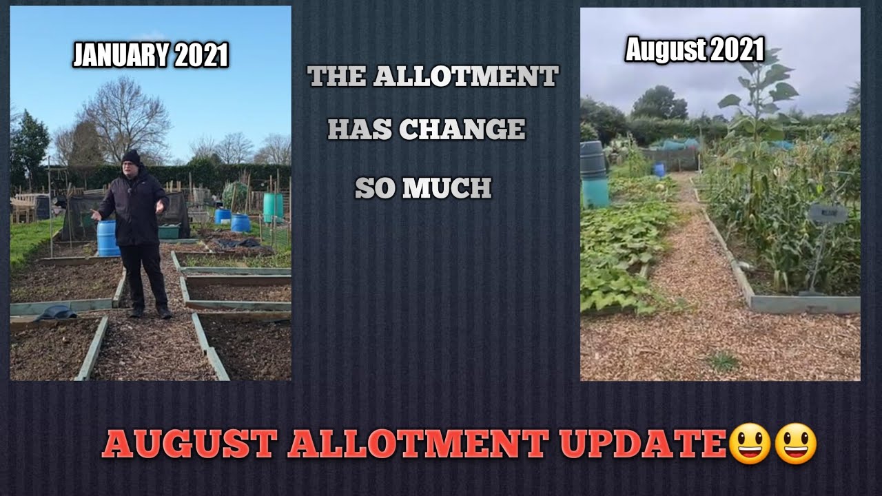 August Allotment update 2021