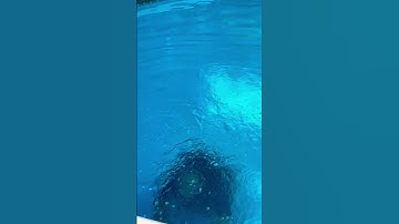 Scuba pool repair hits different 🤿 💧