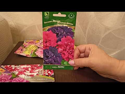 Секреты выращивания махровой петунии.14 декабря 2021г