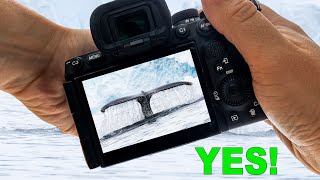 Jawdropping Antarctic Landscape And Wildlife Photography!