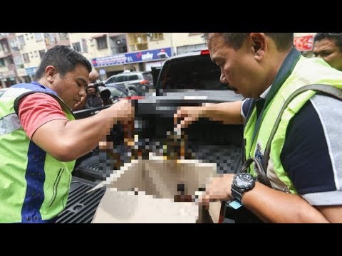 Keracunan arak, 19 maut, 14 kritikal