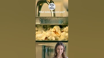 What makes popcorn pop