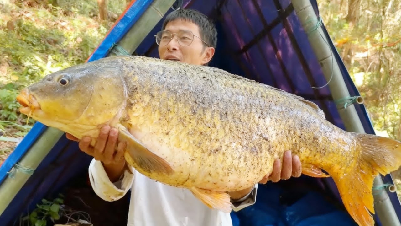 探钓水库垂钓巨物！一下子钓上百斤翘嘴，直接震惊两位裁判！【小宋野钓】