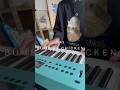 ray / BUMP OF CHICKEN 弾き語りました🎹