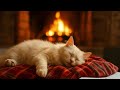 Cozy purring cat ASMR | Peaceful evening fireplace. #asmr #purringcats #relaxation #cutecat