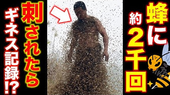 ギネス記録 Youtube