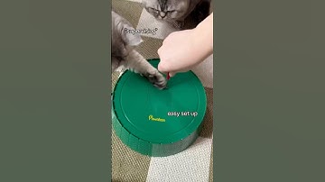 Pawaboo interactive cat toy