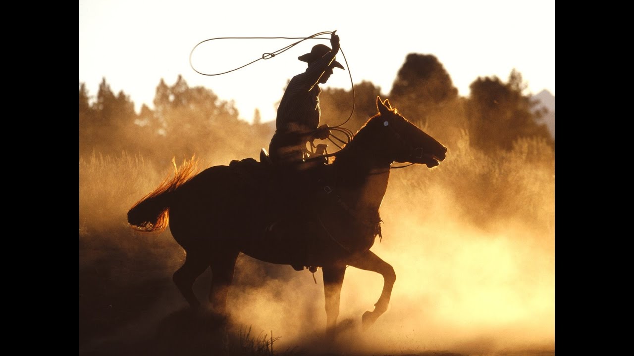 Cómo es un Día de Labores de un Vaquero - TvAgro por Juan Gonzalo Angel -  thptnganamst.edu.vn