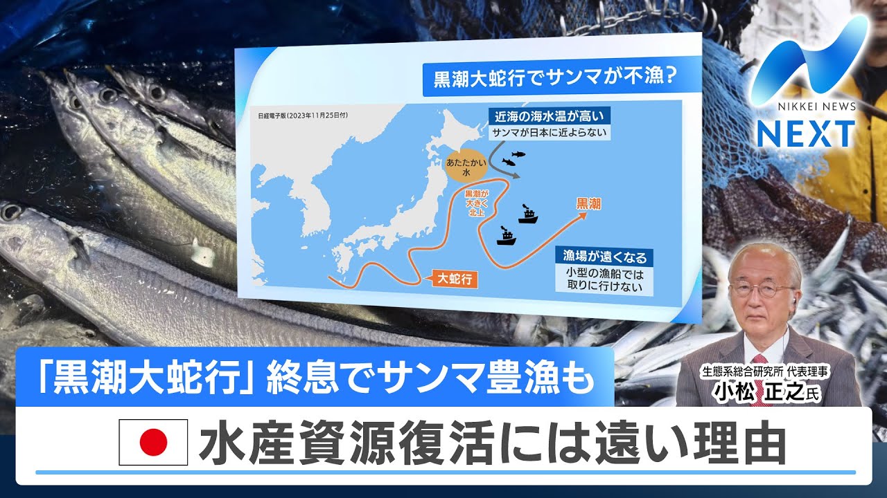 「黒潮大蛇行」終息でサンマ豊漁も 日本水産資源復活には遠い理由【NIKKEI NEWS NEXT】