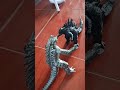 Godzilla vs MechaGodzilla match!