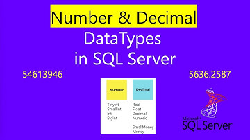 Datatype | Number Datatype In Sql | number datatype in sql