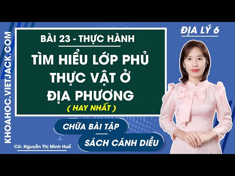 Video: Gợi ý cho Lớp phủ Mặt đất Bóng râm