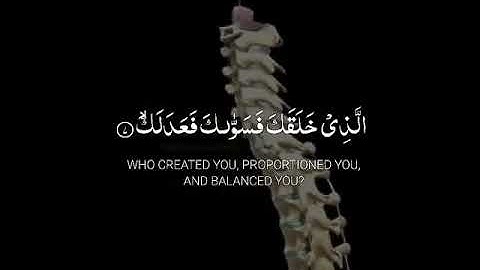 حالات واتساب القرآن الكريم 💆‍♂️♥️،اجمل تلاوة بصوت عبد الباسط م̷ـــِْن سورة الانفطار 🌠، تلاوة رائعه♥️