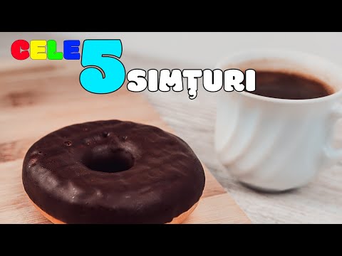 CELE 5 SIMTURI | ENCICLOPEDIE