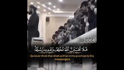 سورة إبراهيم رعد الكردي حالات واتس اب
