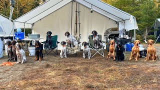 Maine Northwoods Ruffed Grouse Camp | The Flush: Season 14, Episode 4