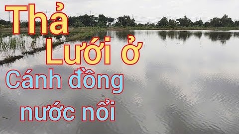 Giăng lưới mùa nước nổi cùng Trọng Nghĩa Vlog #luoica #thaluoi