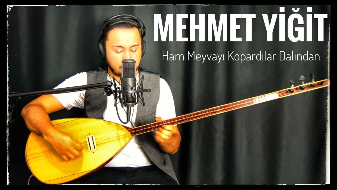 HAM MEYVAYI KOPARDILAR DALINDAN MEHMET YİĞİT ( Canlı Performans ) HD