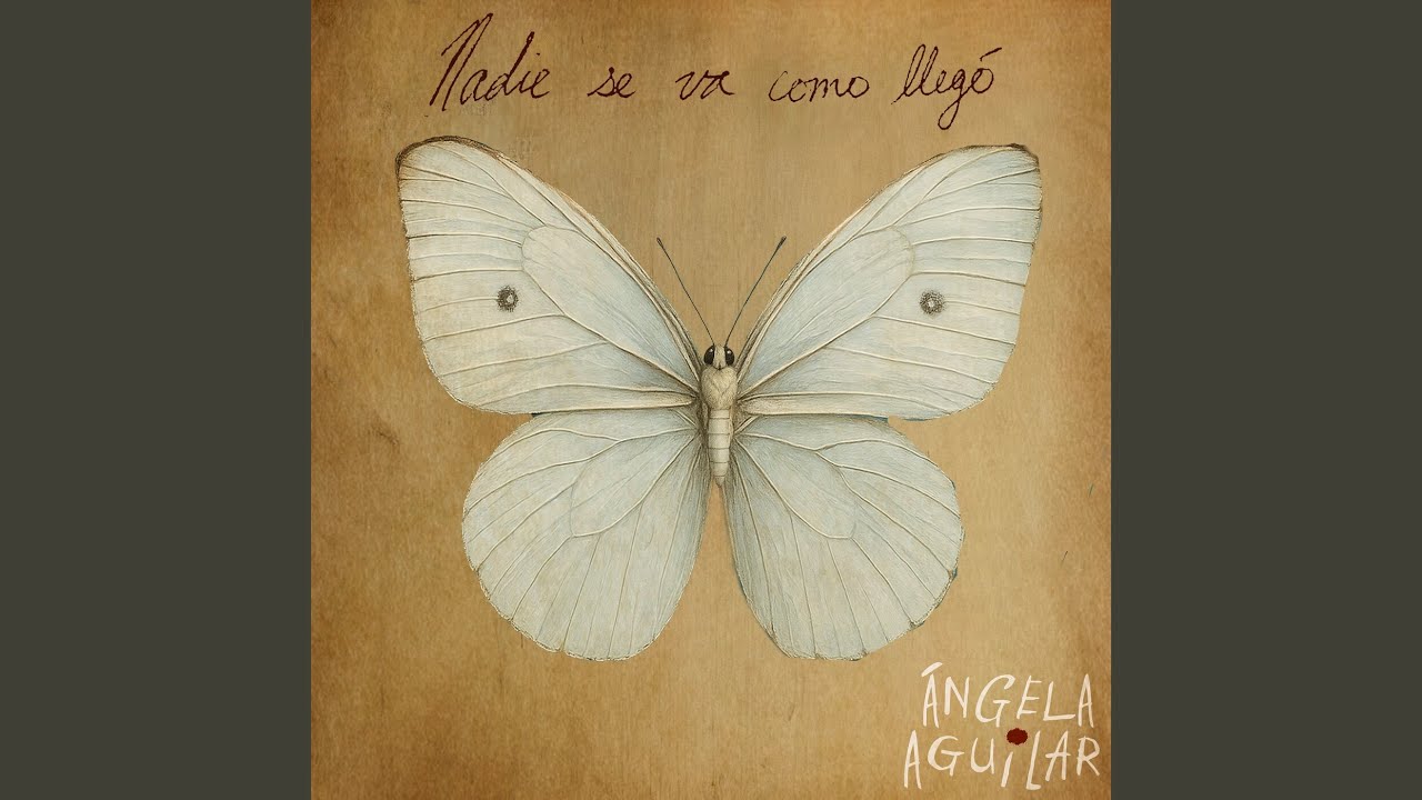 Nadie Se Va Como Llegó