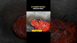 There Was Something Strange In The Lava Of This Volcano