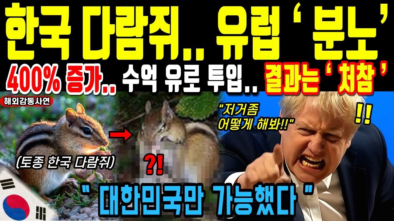 귀여운 한국 다람쥐에 발칵 뒤집힌 유럽, 대한민국만 가능했던 이유 | 해외반응 | 해외감동사연