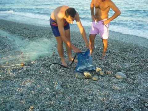 pesca con rete pesca con rete