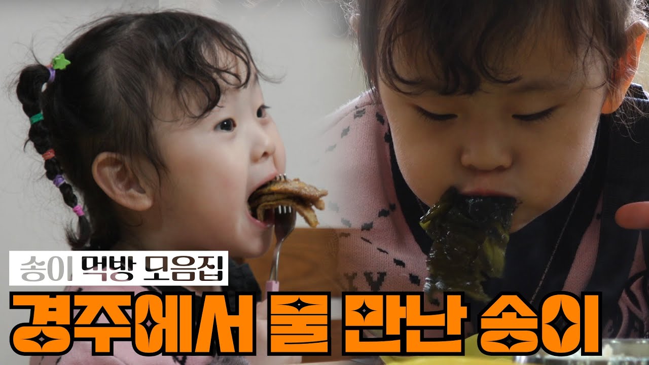 (Sub) ★5살 먹방 천재 송이 몰아보기★절대 실망시키지 않는 압도적 몰입감 [하하버스 모음집]5-year-old gourmet Songi series collection