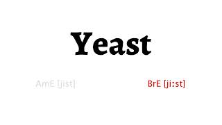 How to Pronounce yeast in American English and British Englishyeast