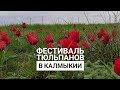 Фестиваль Тюльпанов в Калмыкии