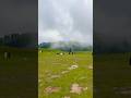 Siri Paye Shogran