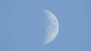 2024 05 14 PM 5:51-낮에뜨는달 #moon #p900s