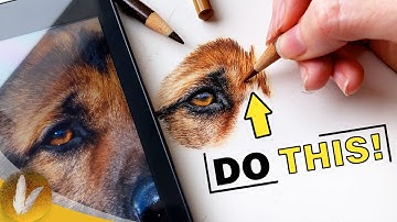 Draw Epic Realistic Fur | Colored Pencil Tips And Techniques Dog Eye Tutorial