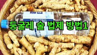 둥굴레 술을 이용하여 법제하는 방법입니다. #한방차 #산야초차 #약초차 #herbaltea #herbalfood #healthyfood #anti-aging #Wellness