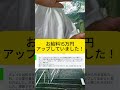 お給料15万円アップしていました! #小林正観 #開運 #量子力学コーチング #斎藤一人 #ロゴストロン #お給料