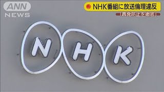 NHKに放送倫理違反“レンタル家族”扱った番組巡り(20/03/31)