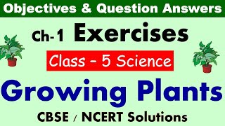 growing plants class 5 science exercises question answers cbse ncert syllabus worksheet youtube